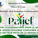 APPEL A CANDIDATURES POUR LA SELECTION DES JEUNES DIPLOMES STAGIAIRES AU PROFIT DU SECTEUR PRIVE DE LA REGION DE LOUGA